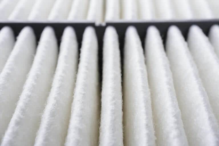 Removing Pet Hair from the Air in 5 Simple Ways