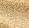 sand grains